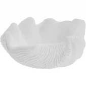 Shella Deco skjell, hvit