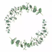 Ambiente Lunsj Servietter "Eucalyptus Branche" Hvit