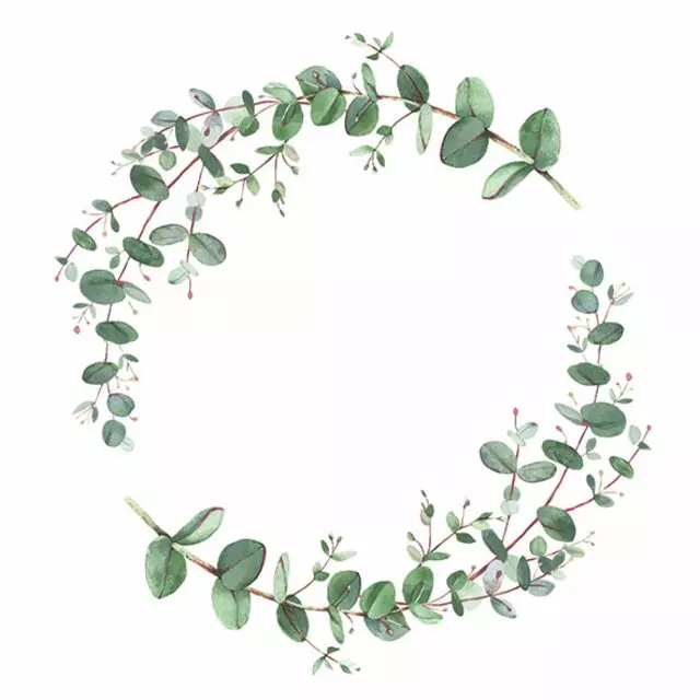 Ambiente Lunsj Servietter "Eucalyptus Branche" Hvit