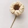 Trend Design Papirblomst Gerbera 30cm sand