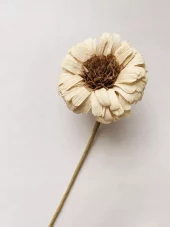 Trend Design Papirblomst Gerbera 30cm sand