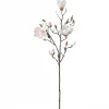 Mr Plant Magnolia kvist, hvit/rosa 88cm