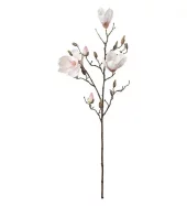 Mr Plant Magnolia kvist, hvit/rosa 88cm