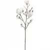 Mrplant Magnolia Kvist, hvit 88cm