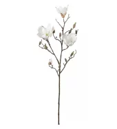 Mrplant Magnolia Kvist, hvit 88cm