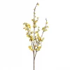 Mr Plant Forsythia Kvist, 120cm