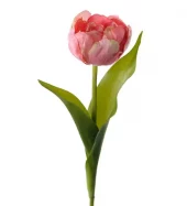 Mr Plant Tulipan, Rosa 36cm