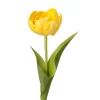 Mr Plant Tulipan, Gul 36cm