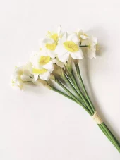 Trend Design Narcisser 72 cm 6 stk/bunt - creme