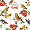 Ambiente Kaffe Servietter "Autumn Birds" 25x25cm