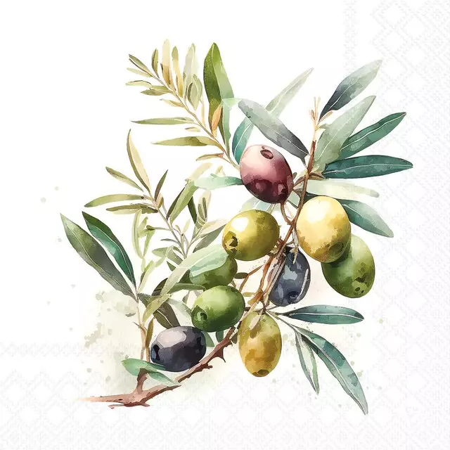 Ambiente Lunsj Servietter "Olive Branch" 33x33cm