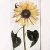 Trend Design Servietter "Solsikke"