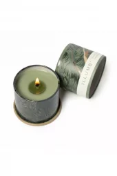 Illume Duftlys "Hinoki Sage", Grønn 20t