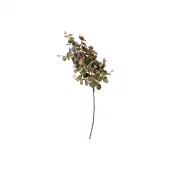 Speedsberg Eukalyptus stilk, 70cm