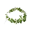 Speedsberg Pelargonia ranke 170 cm — naturtro og vedlikeholdsfri dekor
