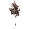 Speedtsberg Eukalyptus-stilk – 70 cm (kunstplante)