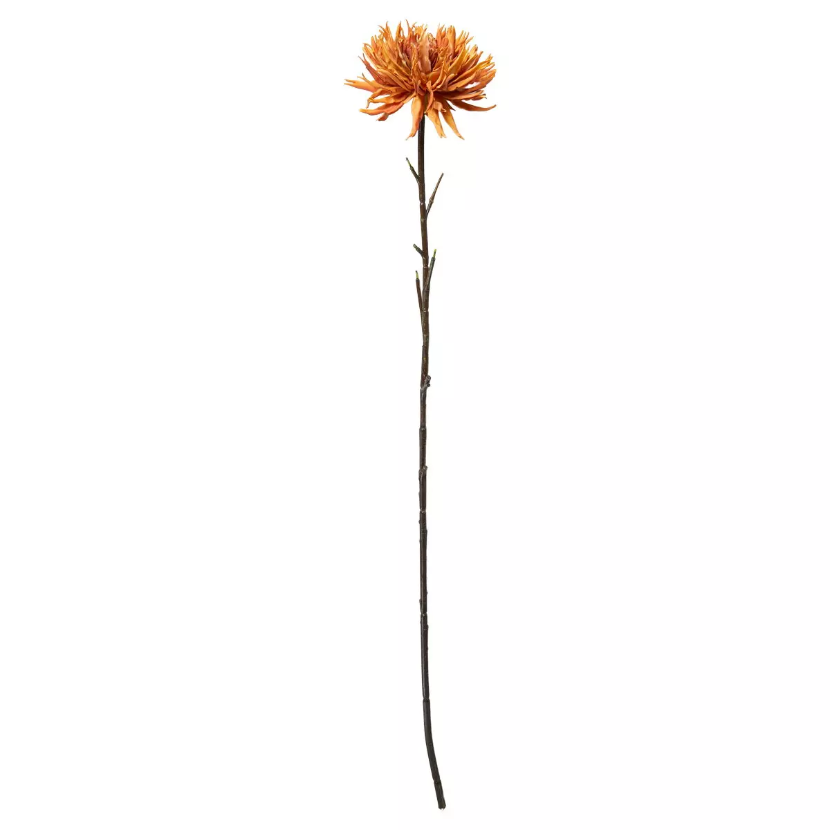 Speedtsberg Krysantemum-stilk – 75 cm (kunstblomst)