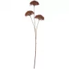 Ib Laursen Blomsterstilk – mørkebrun, 3 skjermblomster (85 cm)