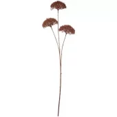 Ib Laursen Blomsterstilk – mørkebrun, 3 skjermblomster (85 cm)