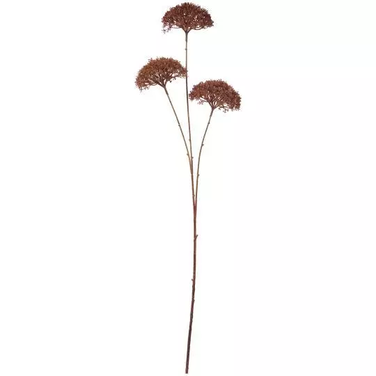 Ib Laursen Blomsterstilk – mørkebrun, 3 skjermblomster (85 cm)