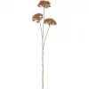 Ib Laursen Blomsterstilk – brun, 3 skjermblomster (80 cm)