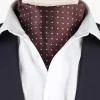 NOHR Carlos Polkadot Silk Ascot Brun 19