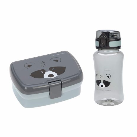 Lunch Set About Friends Racoon