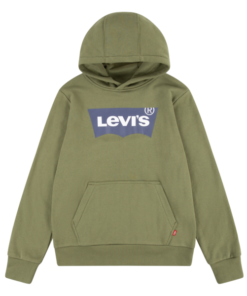 LVB BATWING PULLOVER HOODIE