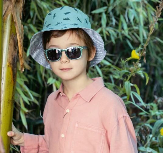 Dinosaur Sunglasses