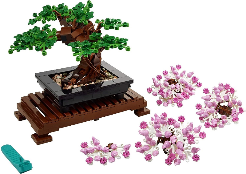 Bonsai Tree