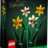 40646 - Daffodils