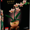 10343 - Mini Orchid