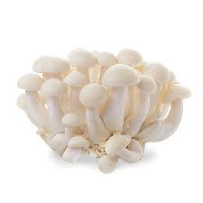 White Shimeji 1 PCK(150g) 白玉菇1包150克