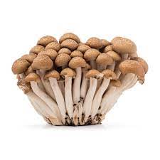 Brown Shimeji Mushroom 1 stk (150g) 蟹味菇 1包150克