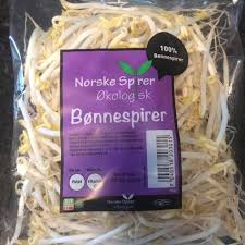 Økologisk Bønnespirer 220g 1 pck 挪威有机豆芽一包 220克