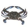 Swinmming crab蓝蟹