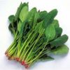 Spinach 400g(5%+-) 菠菜一把400克(5%+-)