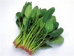 Spinach 400g(5%+-) 菠菜一把400克(5%+-)