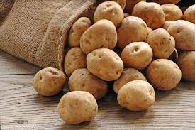 Potato 1 kg 土豆1公斤