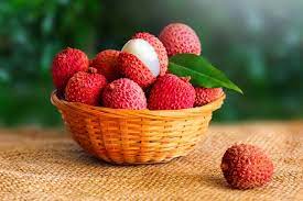 Lychee in pack (500G) 荔枝一盒500克