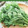 Glehionis Coronaria(Tong ho)500g (5%+-) 茼蒿500克（5%+-）