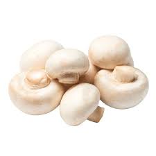 champignon mushroom 250G 白蘑菇一盒 250克