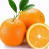 Orange 1KG (5%+-) 橙子1公斤(5%+-)