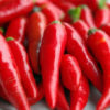 Red Pepper 1pck (400g) (5%+-) 红彩椒一包400克(5%+-)