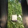 Asia Crop packed Tonghao 500g 亚选荷兰袋装茼蒿1包500克