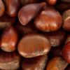 Chestnut 500g 板栗500克