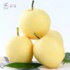 Nashi pear 1kg(+-5%) 皇冠梨1千克(+-5%)