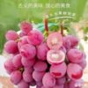 Grape 1 kg (5%+-) 高山红提1千克 (5%+-)