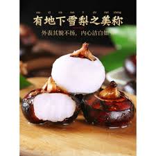 Water chestnuts 1pck/500g 马蹄/荸荠 1包 500克