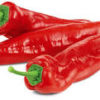 Long red pepper 1pck (400g) 红长辣椒一包400克